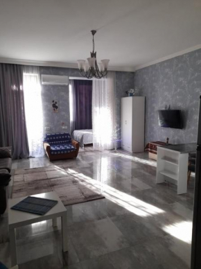 Apartment Tbilisi